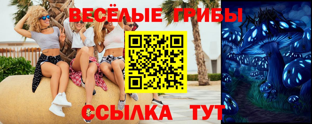 Псилоцибиновые грибы Psilocybine cubensis Балтийск